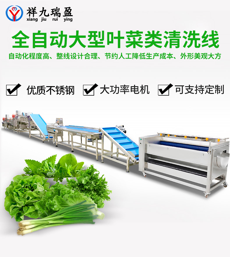 大型葉菜類清洗線生產(chǎn)流程與配套設(shè)備，你知道有多少？