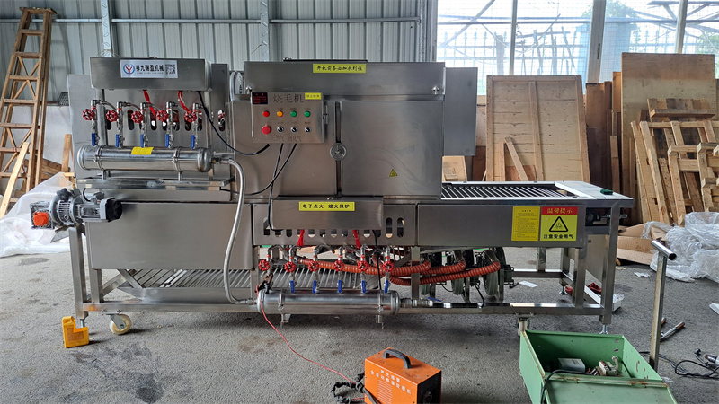 豬腳牛蹄自動(dòng)燎燒絨毛機(jī)，多爐頭、大流量的安全管家 